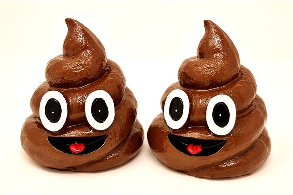 梦见吃屎是什么意思