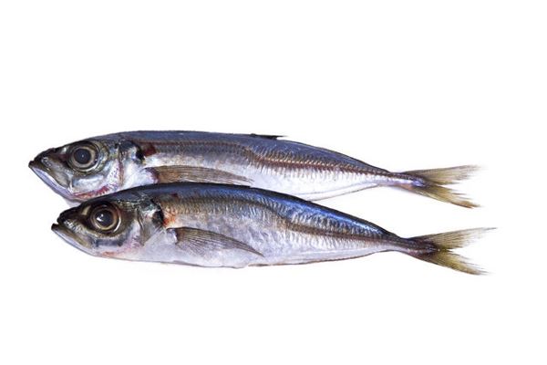 梦见炖鱼是什么意思