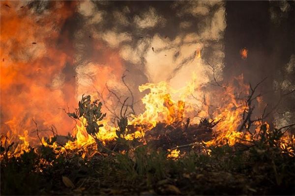 梦见起火是什么意思