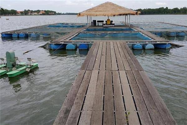 梦见鱼塘是什么意思