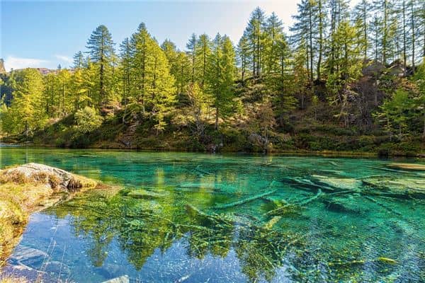 梦见一池清水是什么意思