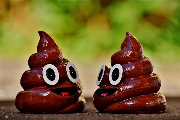 梦见大便啊是什么意思