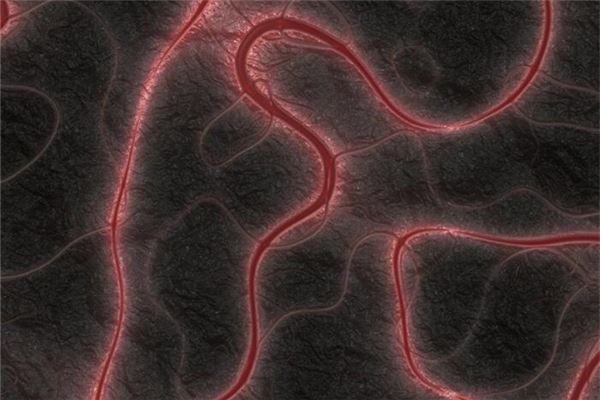 梦见女人自己拉出蛔虫是什么意思