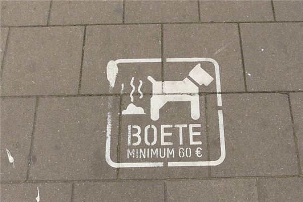 梦见吃狗屎是什么意思