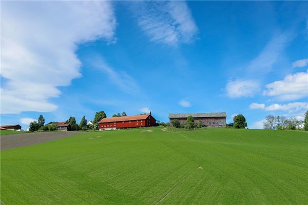 梦见拍照美景是什么意思