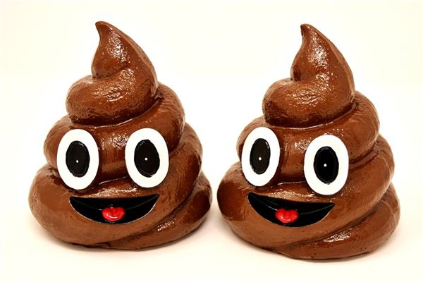 梦见吃屎是什么意思