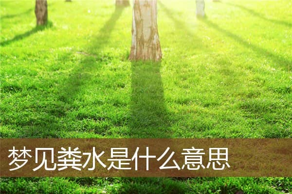 梦见粪水是什么意思