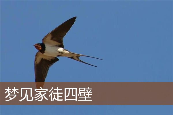 梦见家徒四壁是什么意思