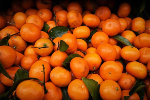 梦见吃橘子是什么意思