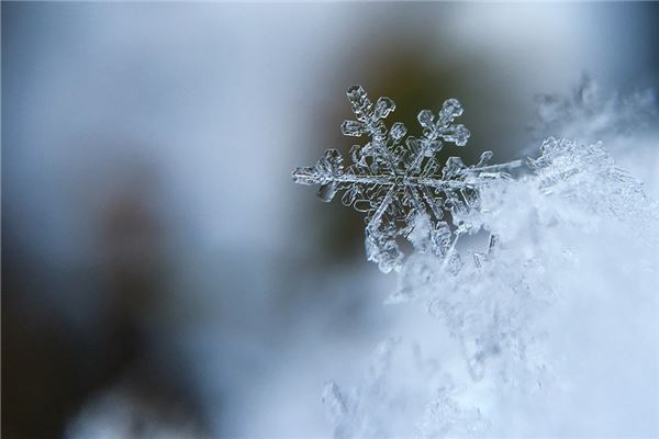 梦见白雪是什么意思