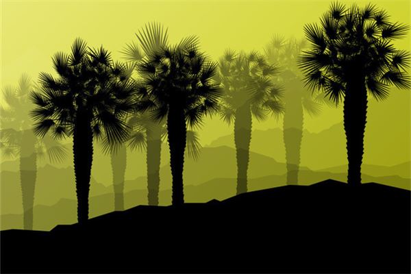 梦见海市蜃楼是什么意思