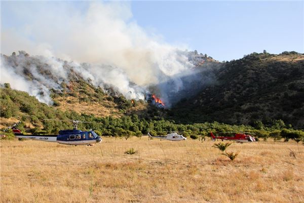 梦见山上着火了是什么意思