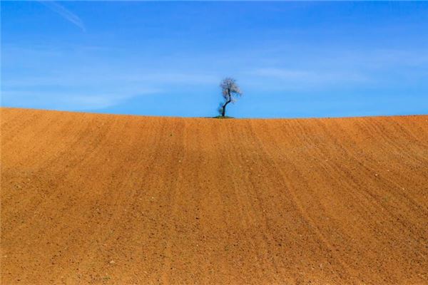 梦见黄土地是什么意思