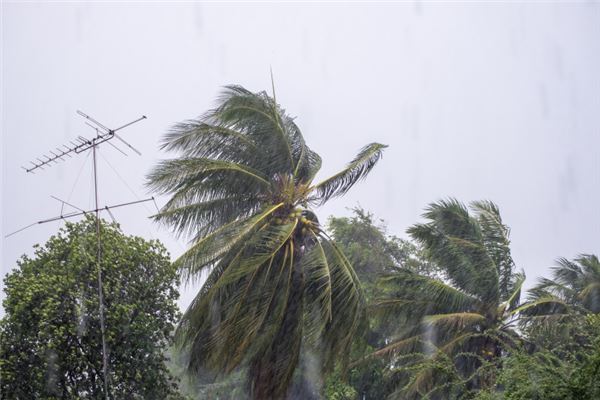 梦见狂风是什么意思