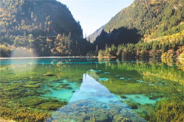 梦见女人做梦水很清澈是什么意思