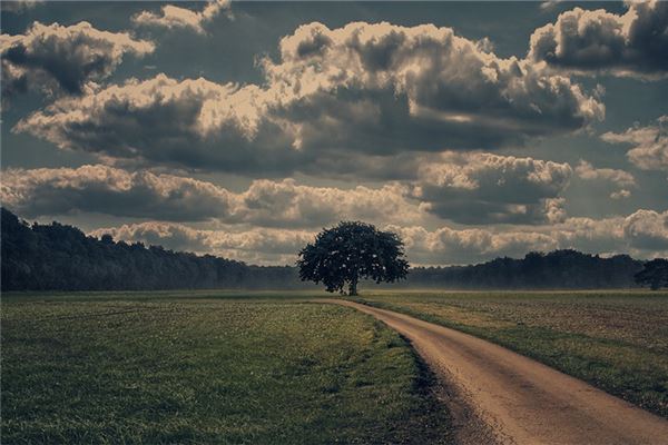 梦见阴天是什么意思