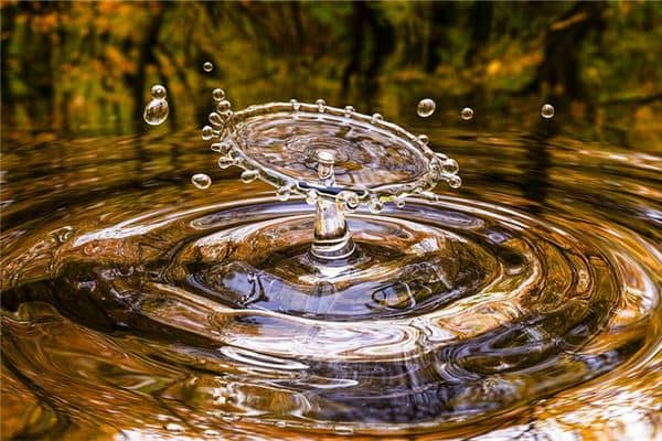 梦见都是水是什么意思