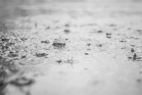 梦见雨水成河是什么意思