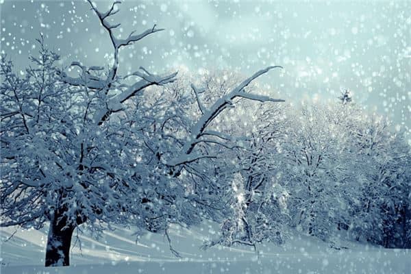 梦见下雪了是什么意思