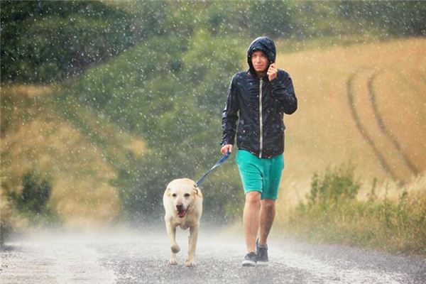 梦见男人下雨是什么意思