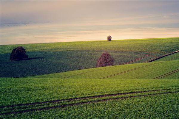 梦见田地是什么意思