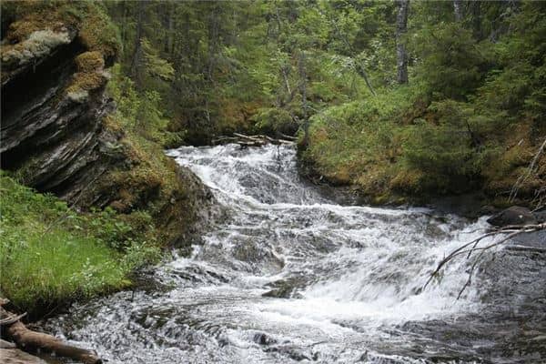 梦见水流很急很浑浊是什么意思