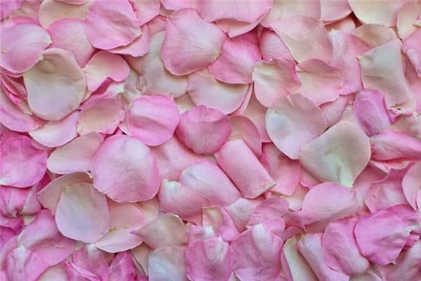 梦见粉色是什么意思