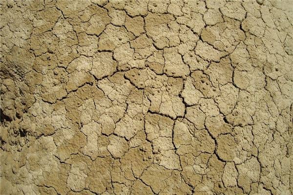 梦见地裂但我很安全是什么意思