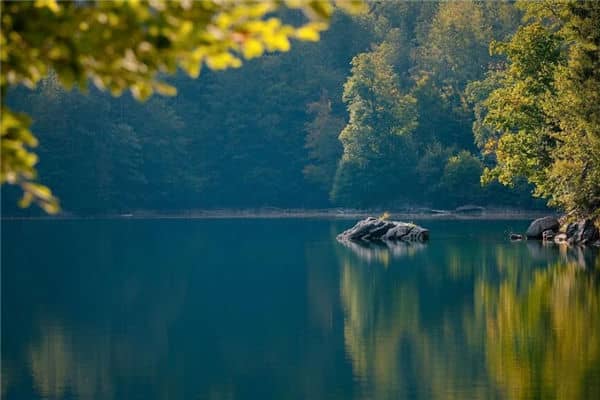 梦见经常水是什么意思