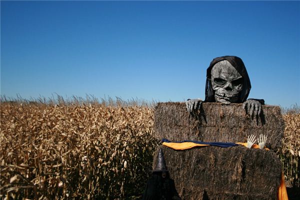 梦见诈尸是什么意思