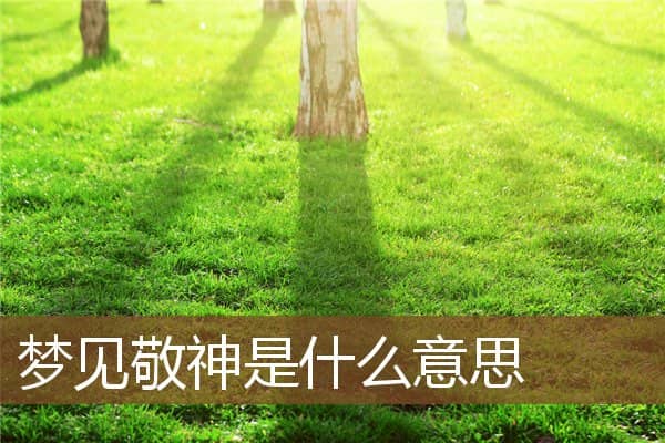 梦见敬神是什么意思