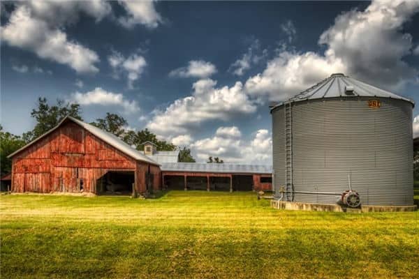 梦见粮仓是什么意思