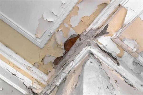 梦见屋顶漏雨是什么意思