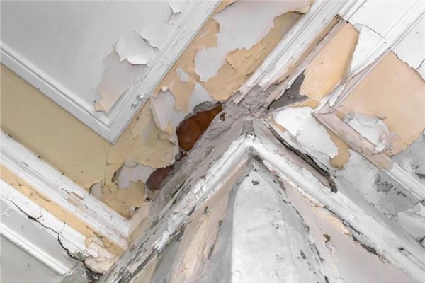 梦见天花板滴水是什么意思