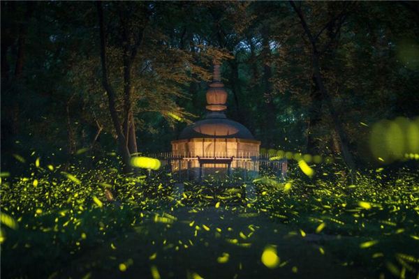 梦见古墓里取出财宝是什么意思