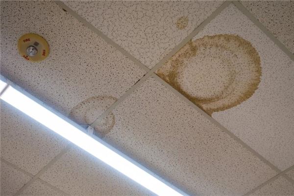 梦见天花板渗水是什么意思