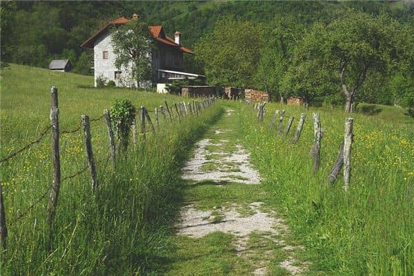 梦见院子里有坑是什么意思