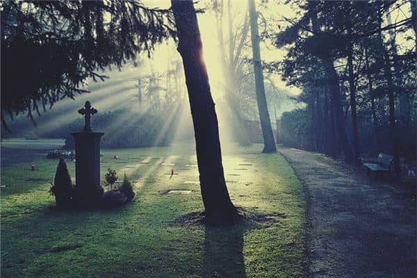 梦见一个坟是什么意思