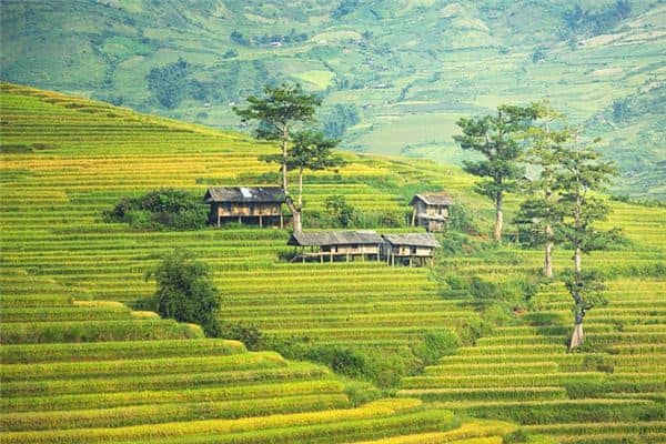 梦见走进陌生的村庄是什么意思