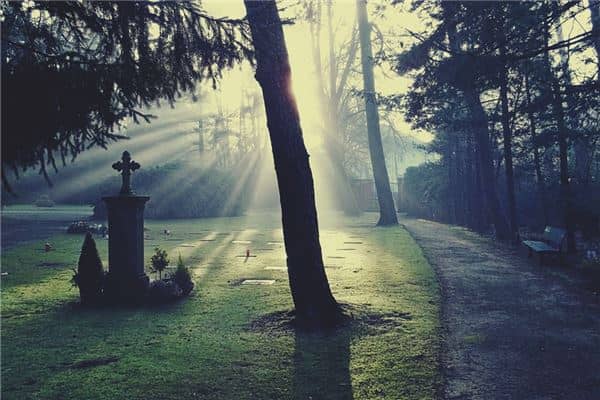 梦见坟是什么意思