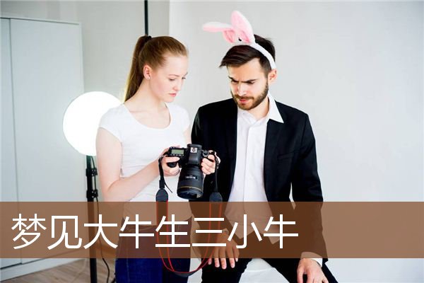 梦见大牛生三小牛是什么意思