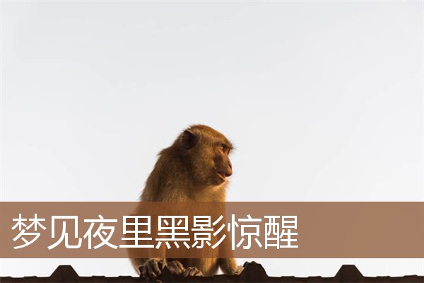 梦见夜里黑影惊醒是什么意思