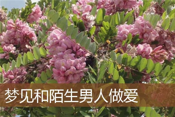 和陌生男人做爱