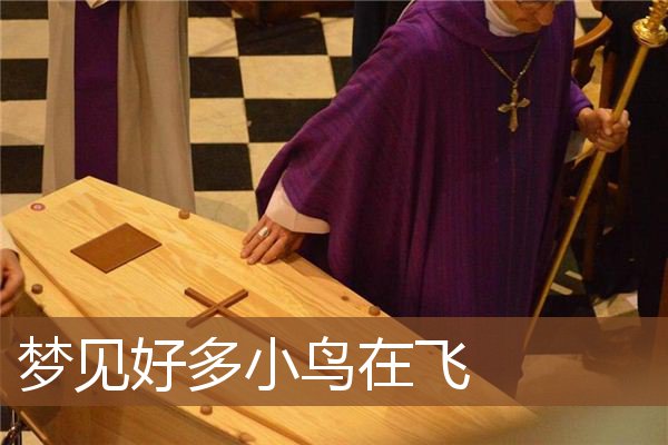 梦见好多小鸟在飞是什么意思