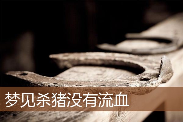 梦见杀猪没有流血是什么意思