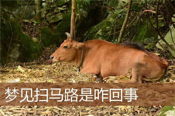 梦见扫马路是什么意思