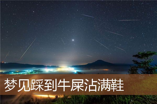 梦见踩到牛屎沾满鞋是什么意思