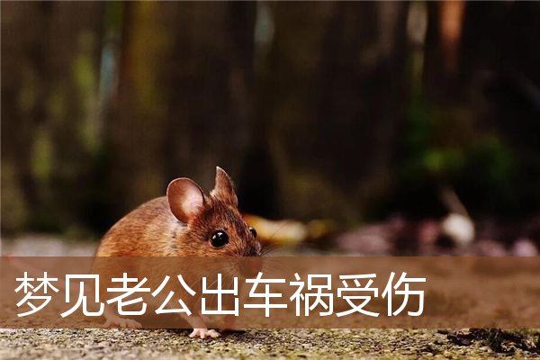 梦见老公出车祸受伤是什么意思