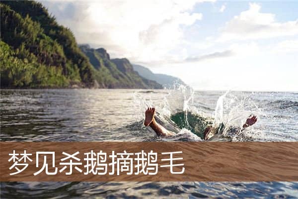 梦见杀鹅摘鹅毛是什么意思