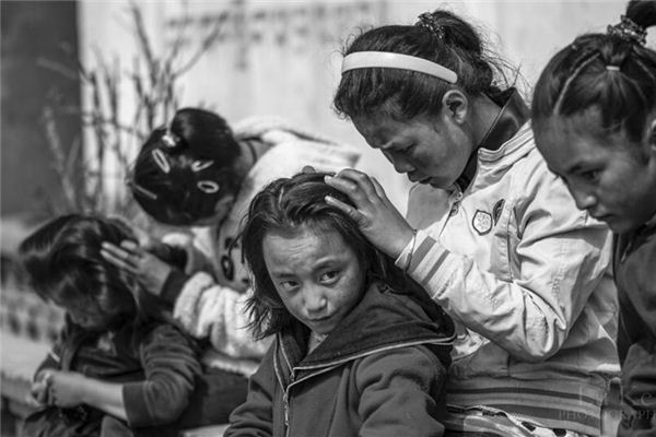 梦见头上长虱子并掐死是什么意思